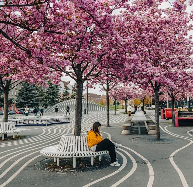 Nørrebro Copenaghen: La Guida Completa al Quartiere Più Multiculturale della Città (2026)